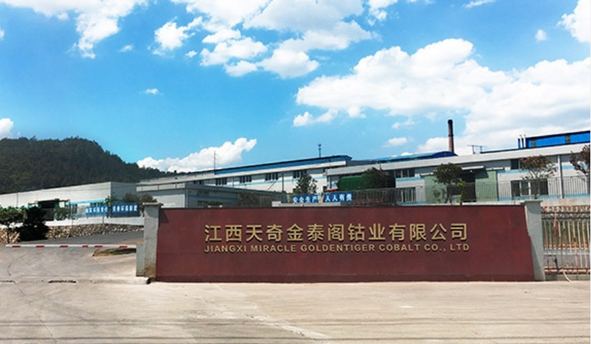 【联盟调研】动力电池回收与梯次利用联盟到江西天奇金泰阁钴业有限公司调研(图3)