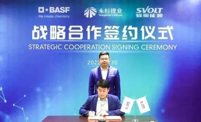 蜂巢能源携手巴斯夫杉杉战略投资永杉锂业(图2)