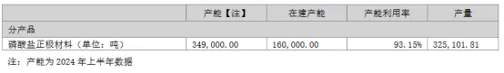 湖南裕能：上半年磷酸铁锂产量32.5万吨！(图1)